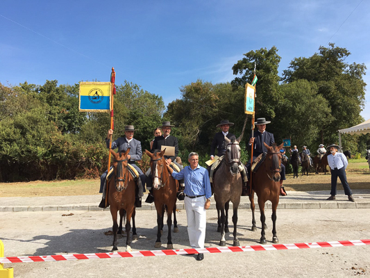 16102016 Dia Caballo 2016 Entrega Premios Y Diplomas (96)