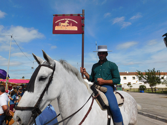 16102016 Dia Caballo 2016. Jornada Domingo (30)