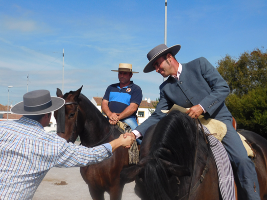 16102016 Dia Caballo 2016. Jornada Domingo (51)